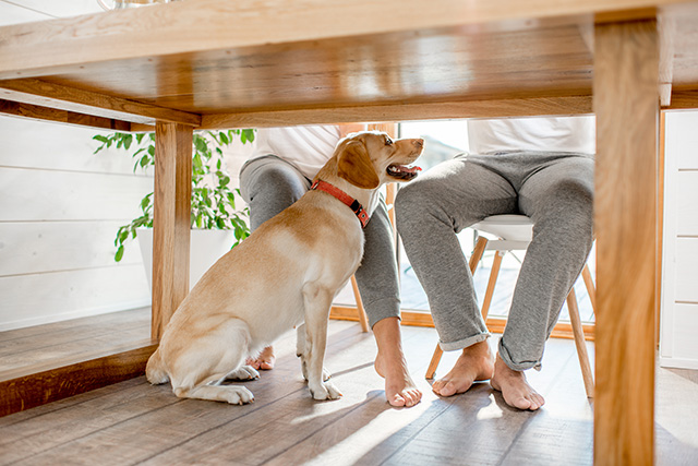 under-the-table
