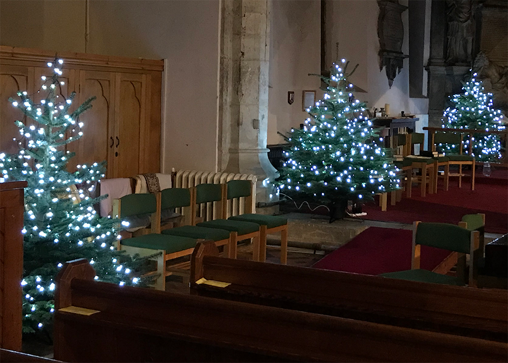 trees in 2019