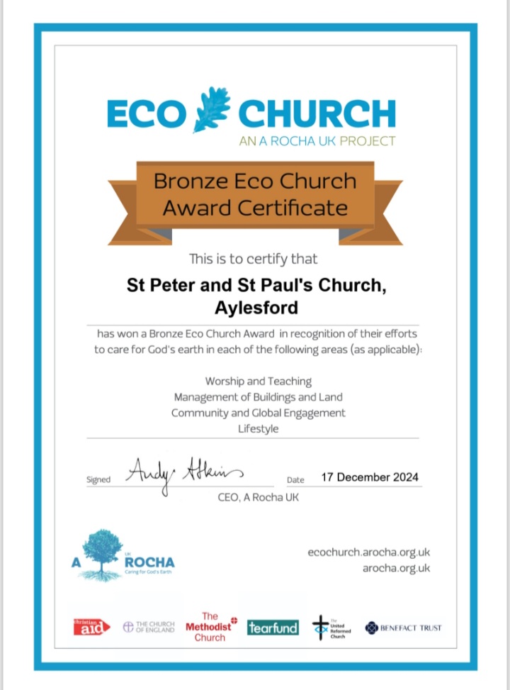 bronze award 2